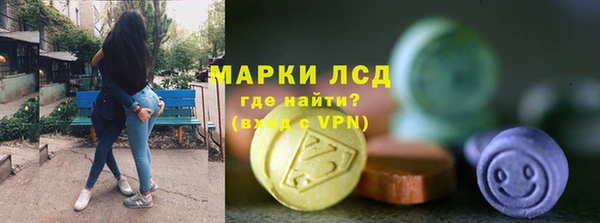 PSILOCYBIN Аркадак