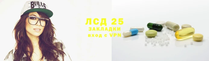 PSILOCYBIN Аркадак